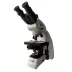 Mikroskop Levenhuk MED 45T (40-1000x)