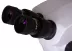 Stereomikroskop Levenhuk ZOOM 1B (7-45x) ZOOM