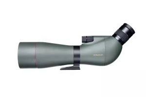 fomei20-60x85