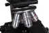 Mikroskop Levenhuk 850B (40-1000x)