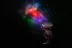 Astroplanetárium Levenhuk LabZZ Star Sky P9