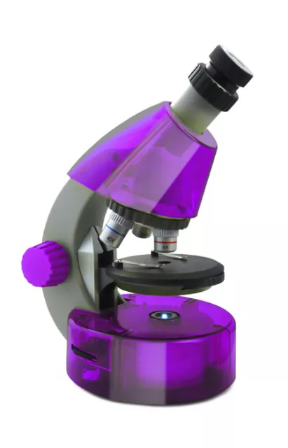 Mikroskop Levenhuk LabZZ M101 Amethyst (40-640x)
