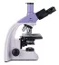 Mikroskop MAGUS Bio 250T (40-100x)