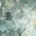 Mikroskop MAGUS Metal 630 BD (50-500x)