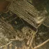 Mikroskop MAGUS Metal V700 BD (50-500x)