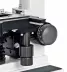 Mikroskop Bresser Erudit DLX (40-600x)