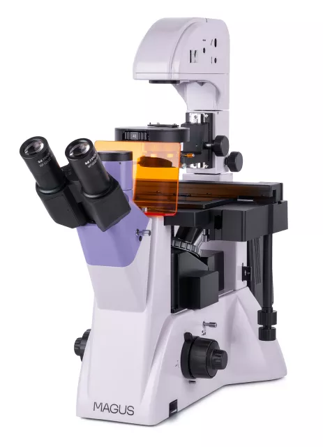 Mikroskop MAGUS Lum V500 (100-400x)