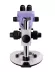Stereomikroskop MAGUS Stereo 8B (6,5-55x)