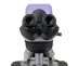 Mikroskop MAGUS Bio 240B (40-1000x)