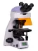 Mikroskop MAGUS Lum 450L (40-1000x)