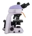 Mikroskop MAGUS Lum 450L (40-1000x)