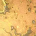 Mikroskop MAGUS Metal V790 DIC (50-1000x)